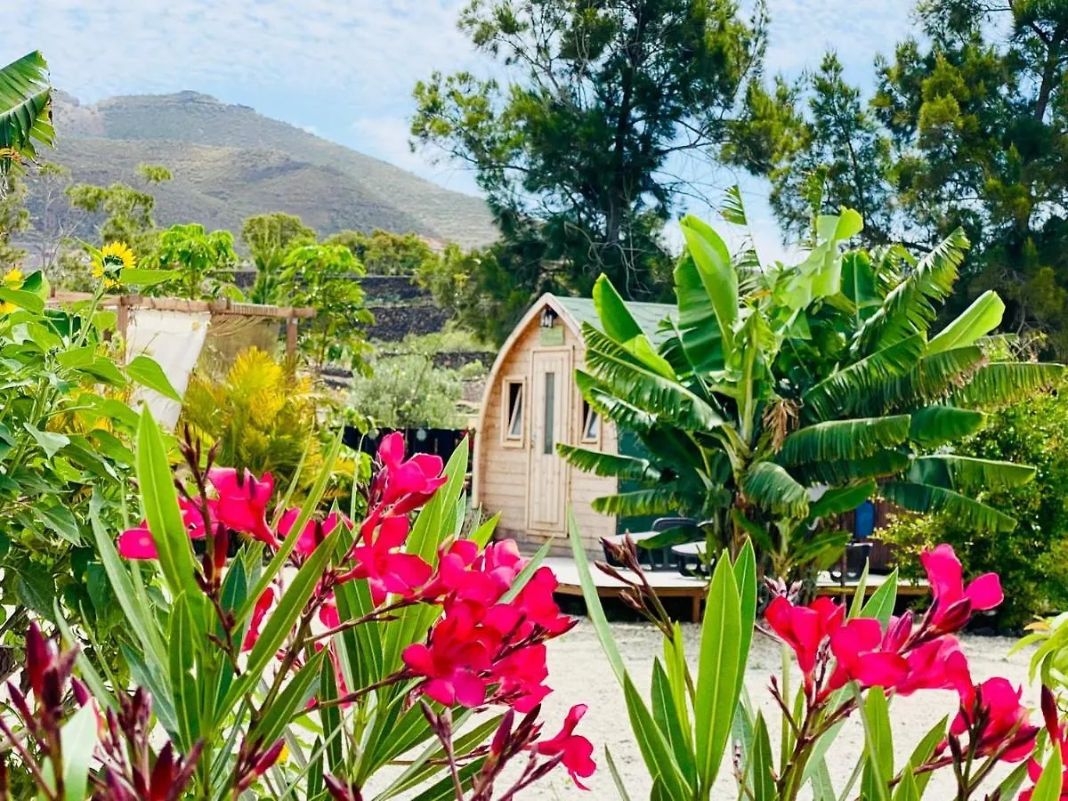Bernegal Maday Hot Tub Climatizado Piscina Y Jardin Villa Buzanada Holiday home