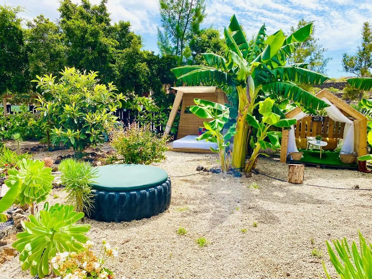 Holiday home Bernegal Maday Hot Tub Climatizado Piscina Y Jardin Villa Buzanada Spain