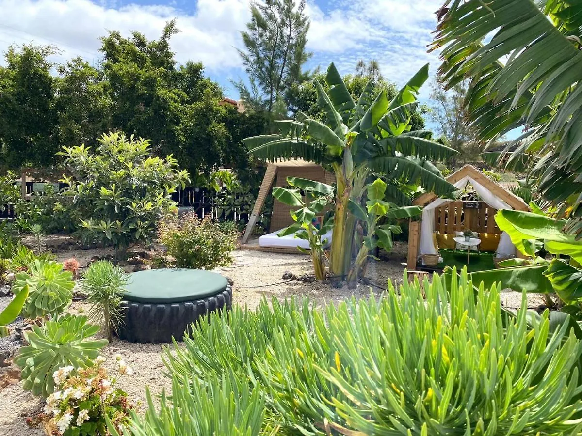 Bernegal Maday Hot Tub Climatizado Piscina Y Jardin Villa Buzanada Holiday home