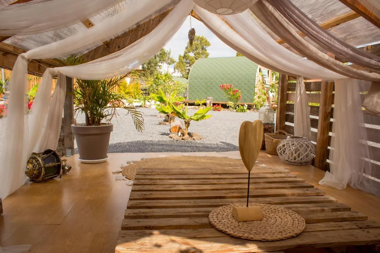 Bernegal Maday Hot Tub Climatizado Piscina Y Jardin Villa Buzanada Holiday home