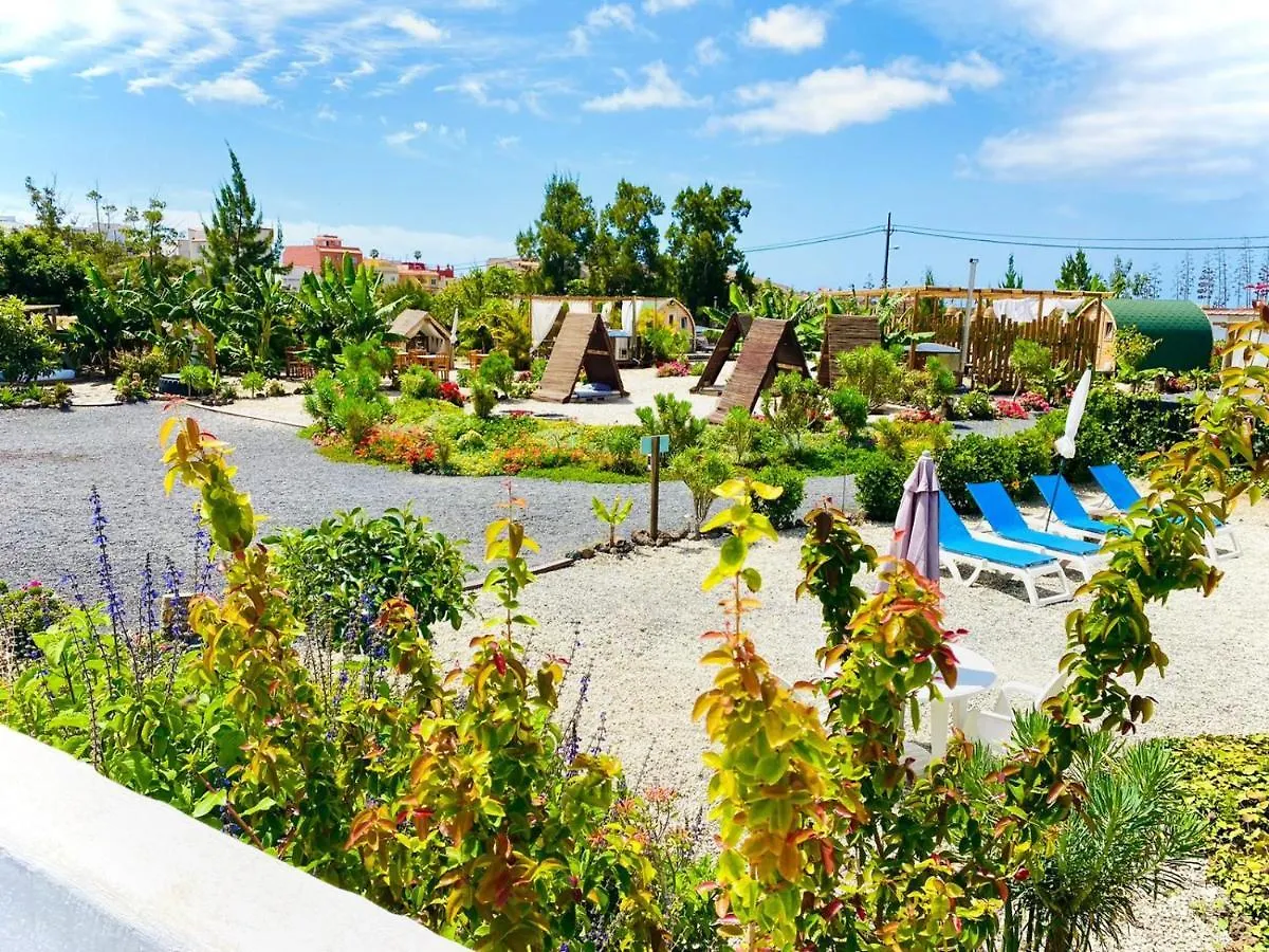 Bernegal Maday Hot Tub Climatizado Piscina Y Jardin Villa Buzanada Holiday home