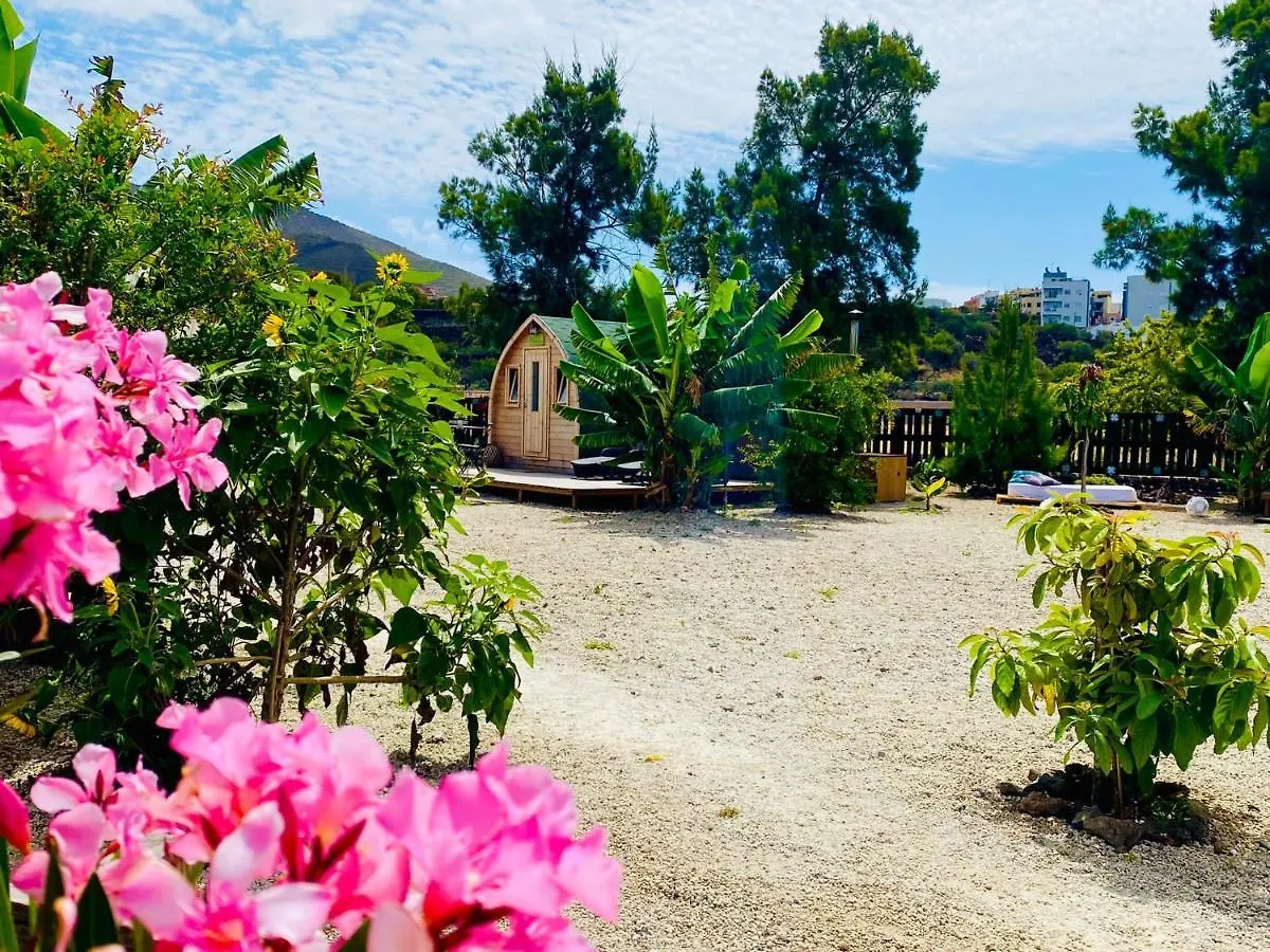Bernegal Maday Hot Tub Climatizado Piscina Y Jardin Villa Buzanada Holiday home